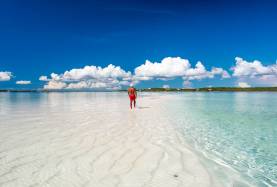 Abacos