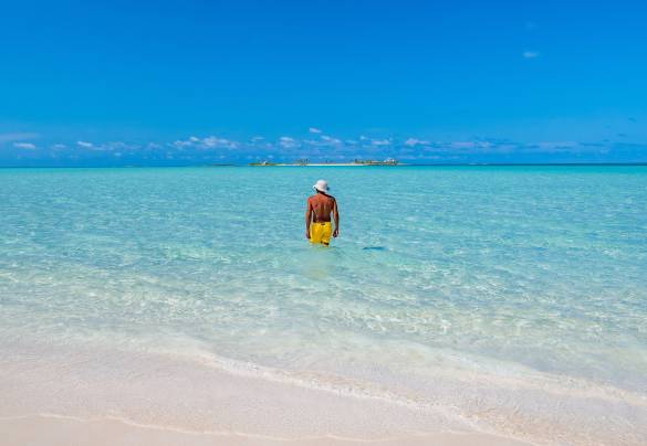 Abacos