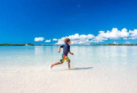 Abacos