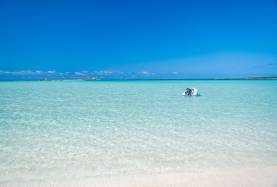 Abacos