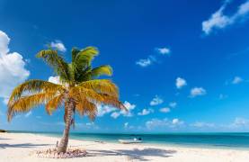 Sailing Charters