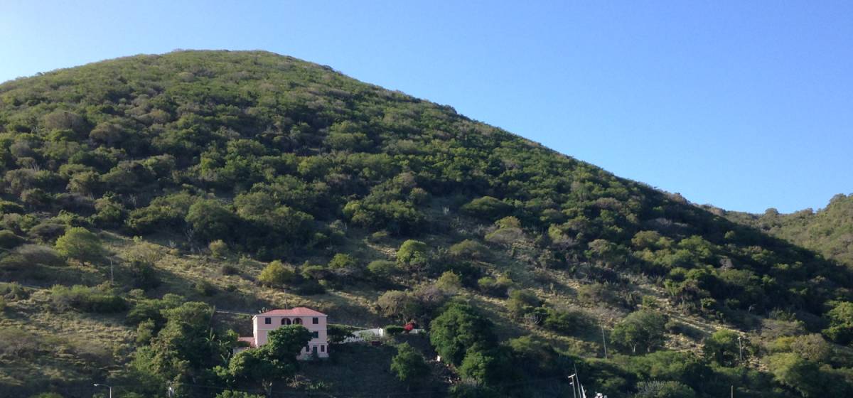 bvi