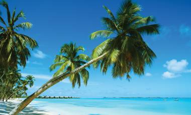 Save up to 20% on Your Next Charter Escape