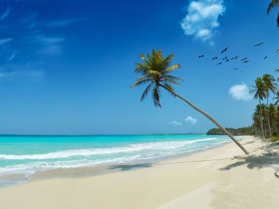 Bahamas