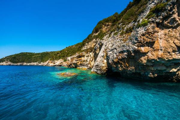 paxos