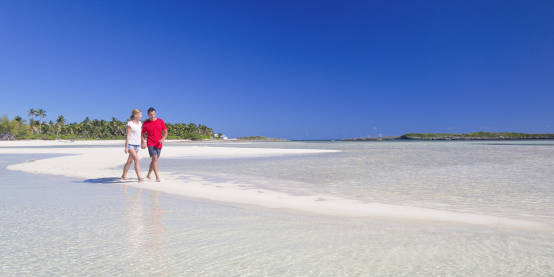 Abacos
