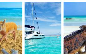 Exumas Animals