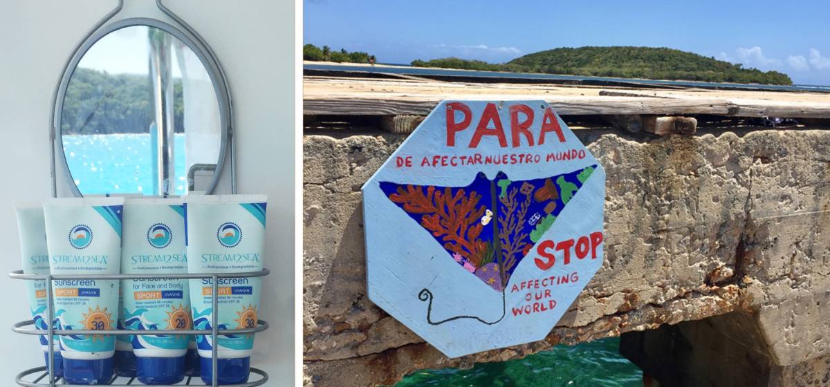 Help Protect Our Oceans